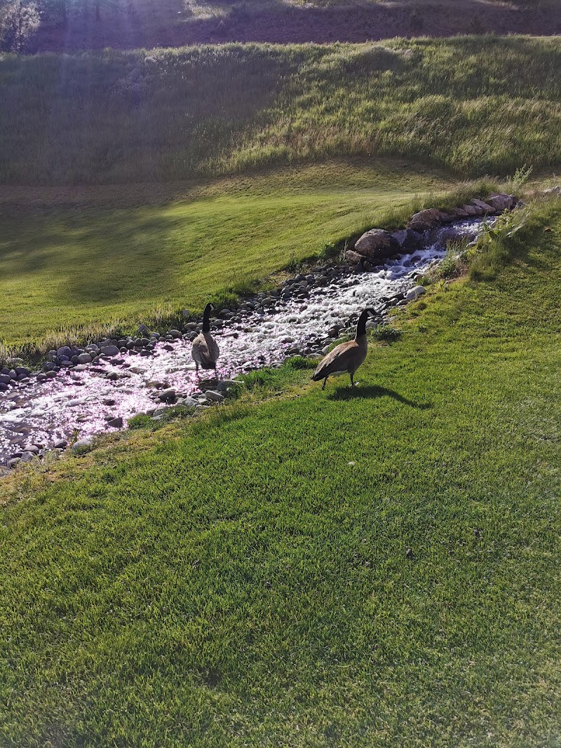 Photo of Black Mountain Golf Club