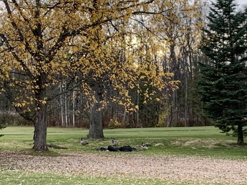 Photo of Big Cedar Golf Club