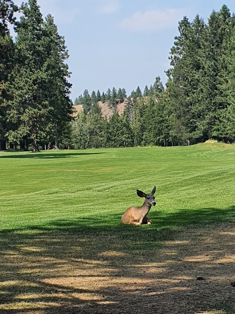Photo of Kimberley Golf Course