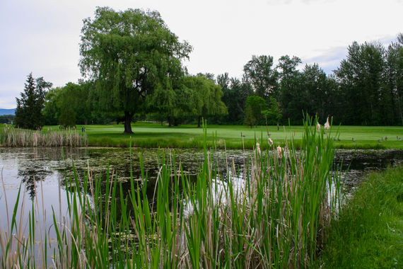 Photo of Mission Creek Golf Club