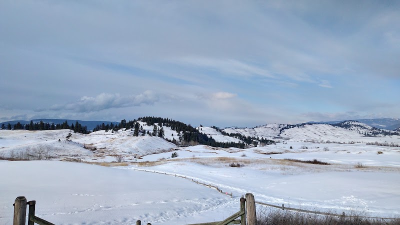 Photo of Predator Ridge golf club
