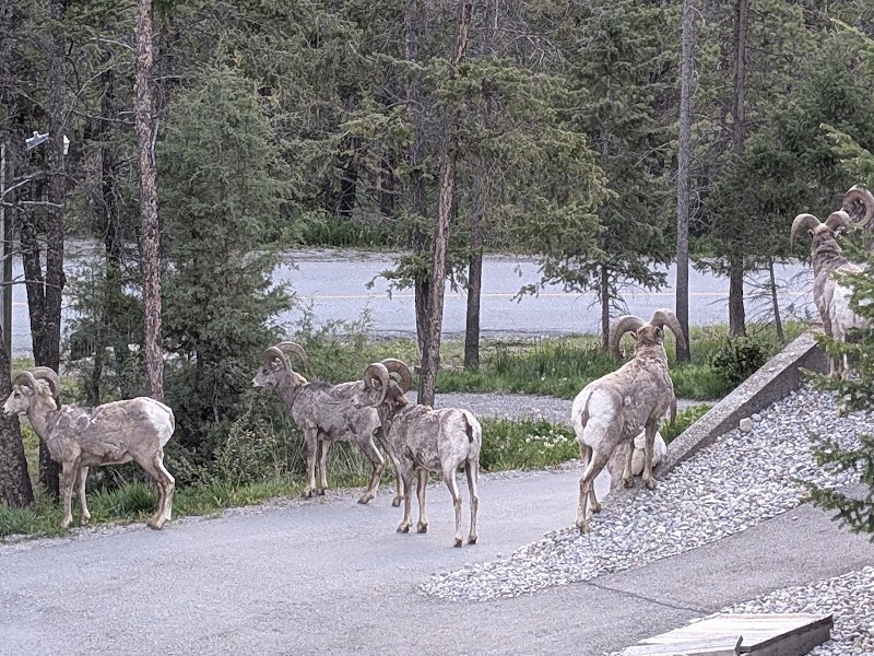 Photo of Radium Course - Radium Golf Group
