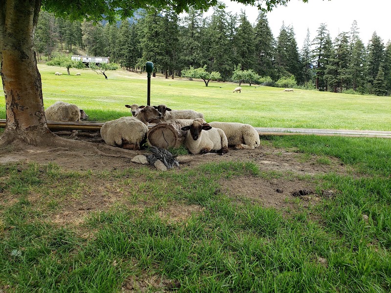 Photo of Sheep Pasture Golf Course