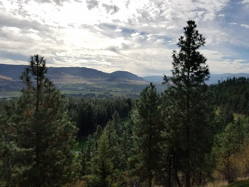 Photo of The Okanagan Golf Club - Bear and Quail