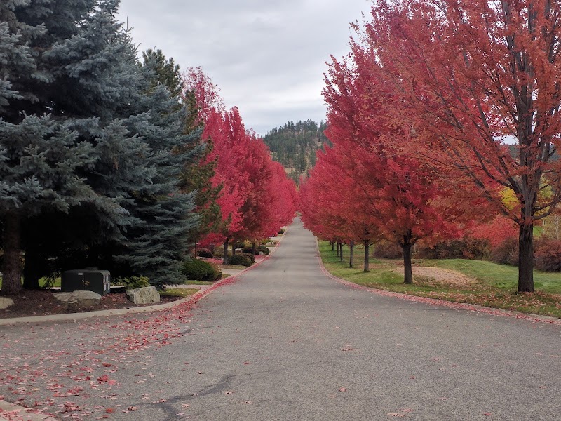 Photo of The Pinnacle Course at Gallagher's Canyon