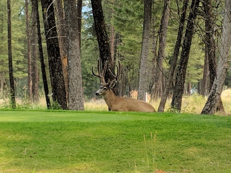 Photo of Wildstone Golf Course