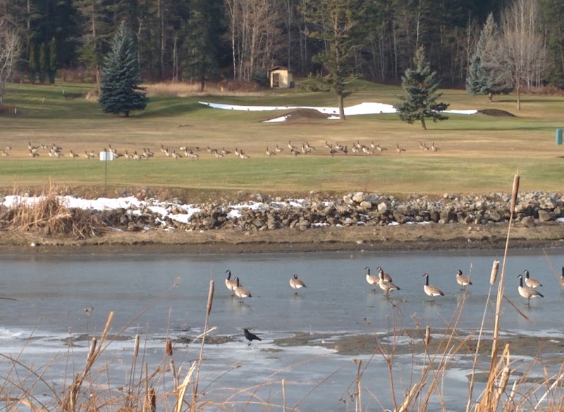 Photo of Williams Lake Golf & Tennis Club