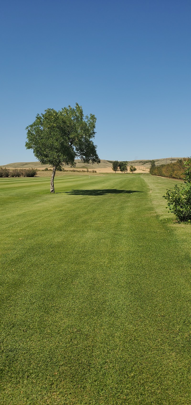 Eston Golf Course