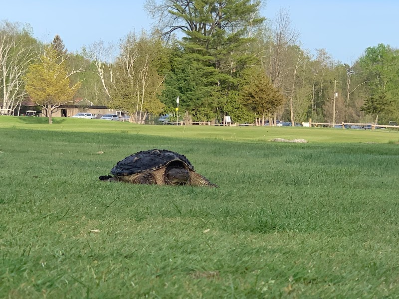 Photo of Orr Lake Golf Club