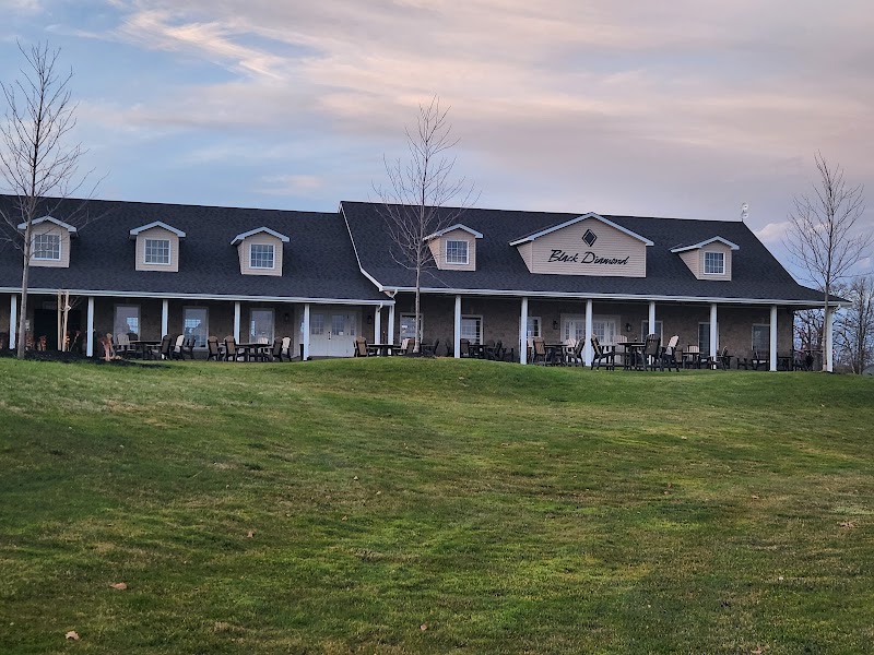 Photo of Black Diamond Golf Club