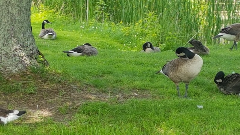 Photo of Oliver's Nest Golf Club