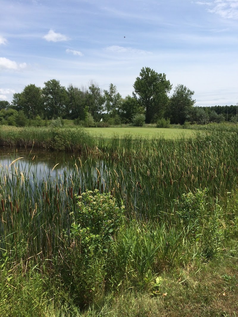 Photo of Beaverton Golf Course