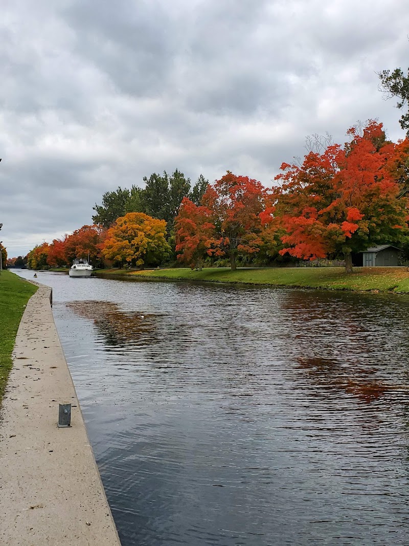 Photo of Liftlock Golf Club