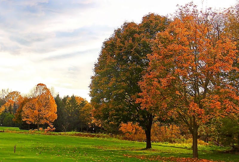 Photo of The Mill Golf Course at Cobourg Creek