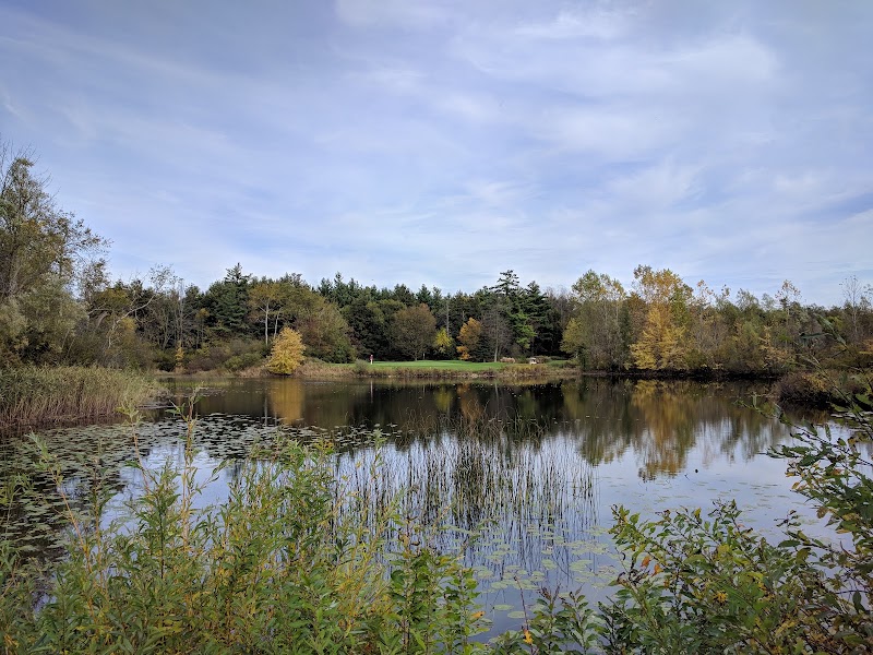 Photo of Springfield Golf & Country Club