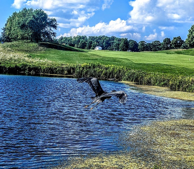 Photo of Angus Glen Golf Club