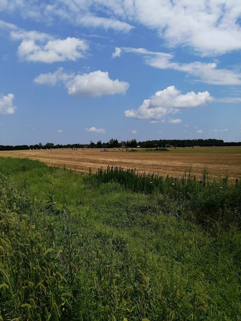 Photo of Springview Farm Golf Course