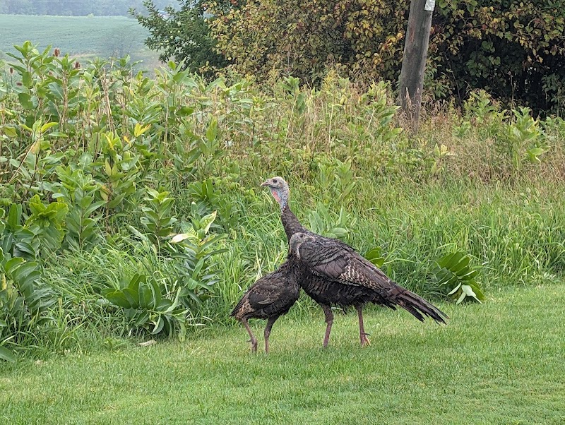Photo of Sawmill Golf Course