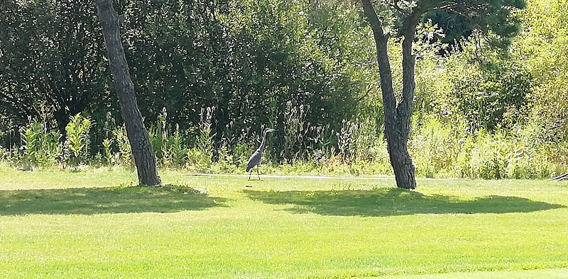 Photo of Riverview Golf Club