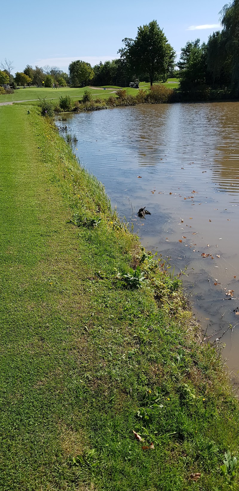 Photo of Rolling Meadows Golf & Country Club