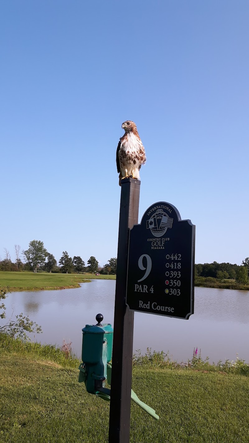 Photo of Niagara National Golf & Country