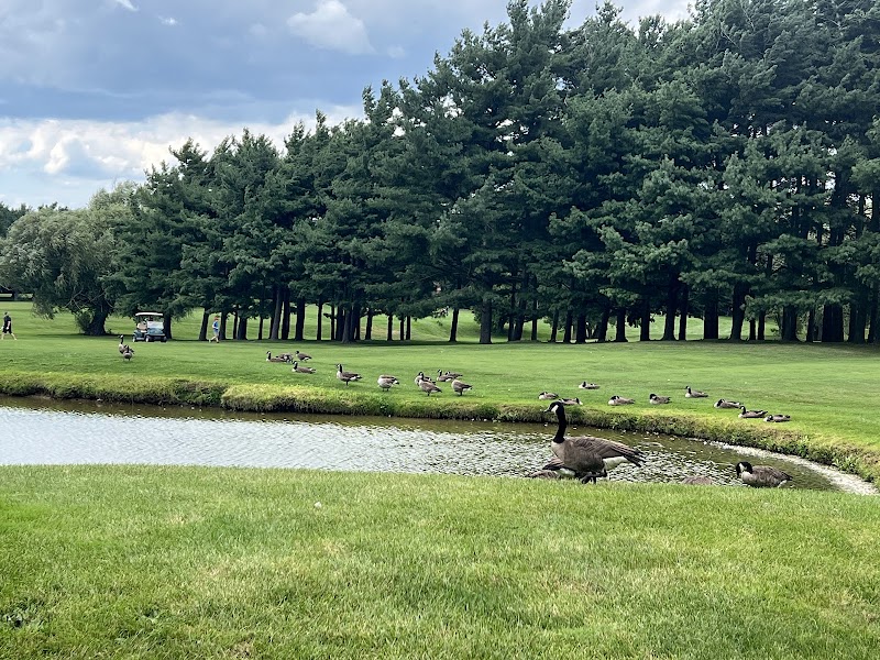 Photo of St Davids Golf Club
