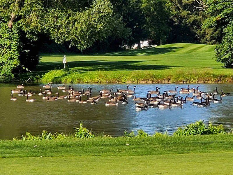 Photo of St Davids Golf Club