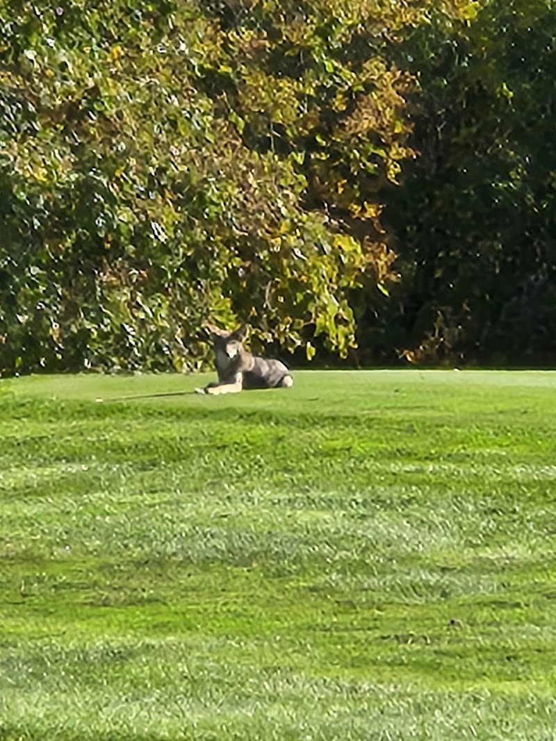 Photo of Battlefield Course