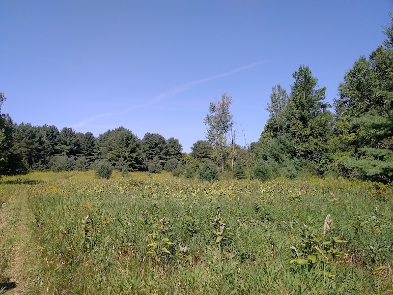 Photo of Pines of Georgina Golf Course