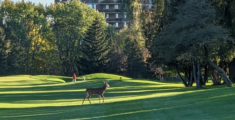 Photo of Humber Valley Golf Course