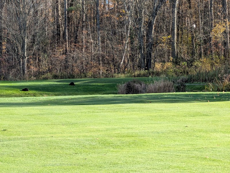Photo of Warkworth Golf Club