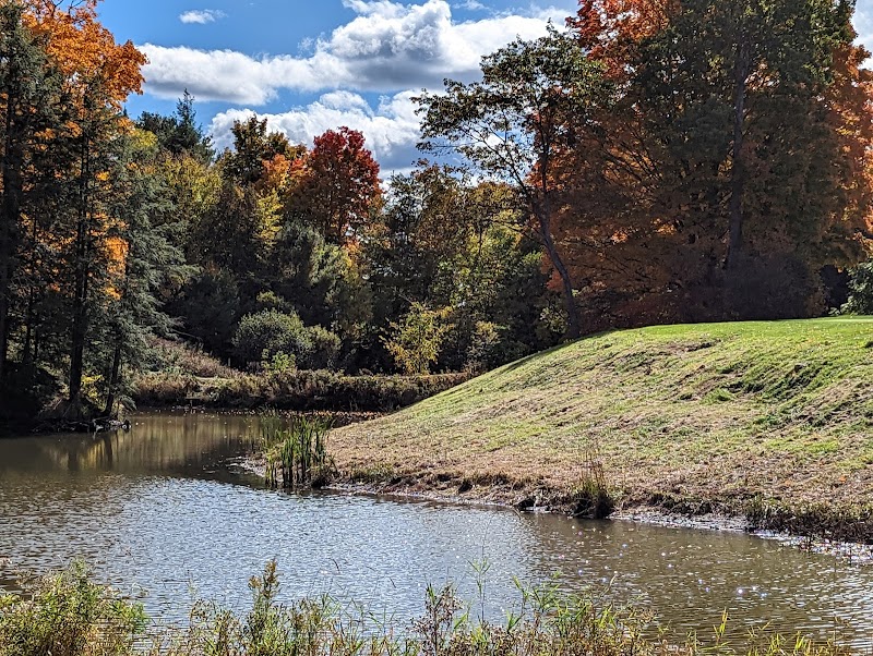 Photo of South Muskoka Curling and Golf Club