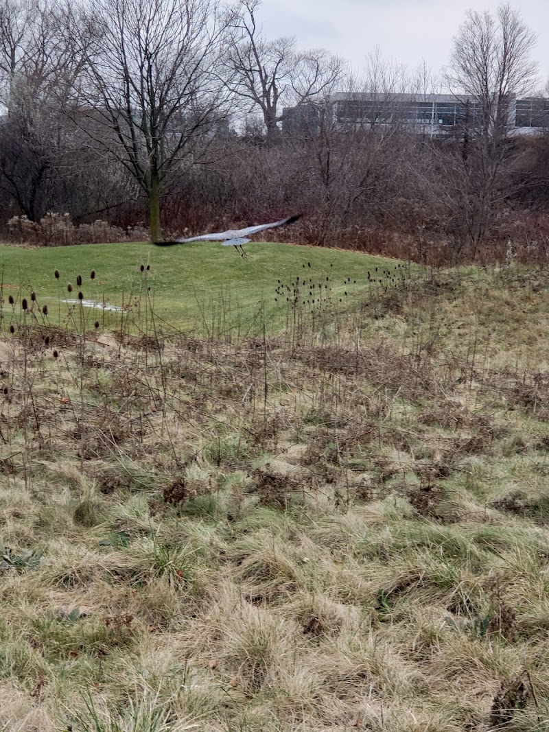 Photo of Royal Woodbine Golf Club