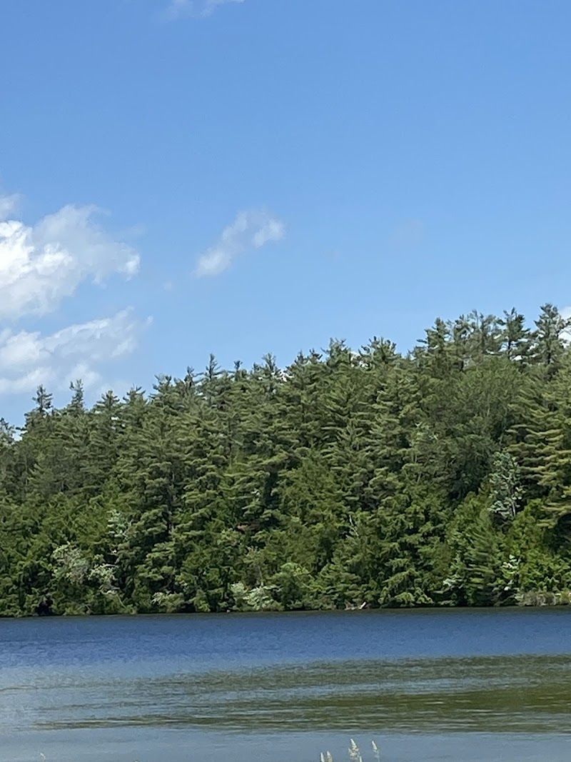 Photo of Gull River Golf Club