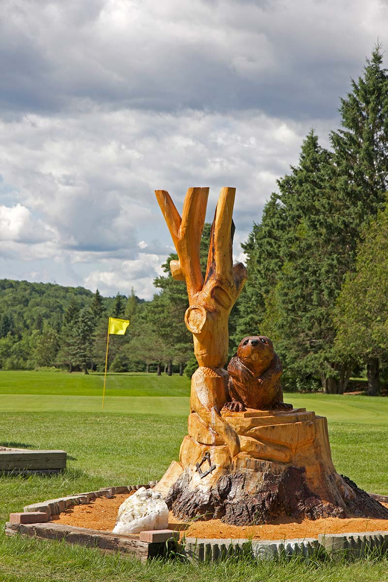 Photo of Gull River Golf Club
