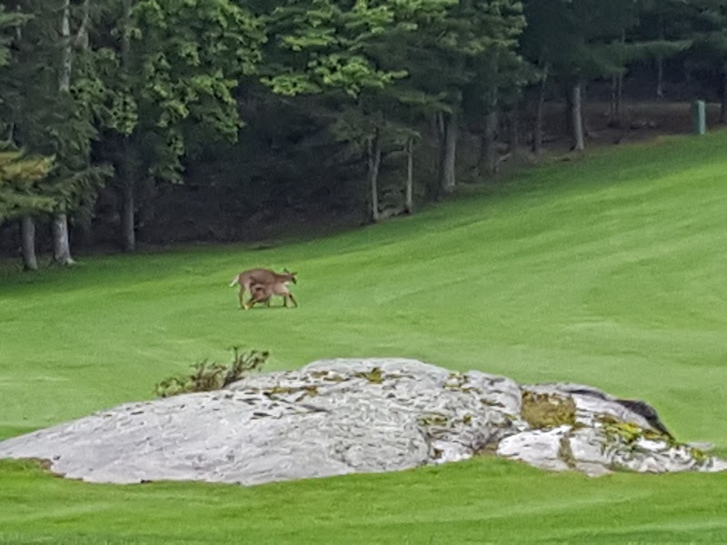Photo of Parry Sound Golf & Country Club