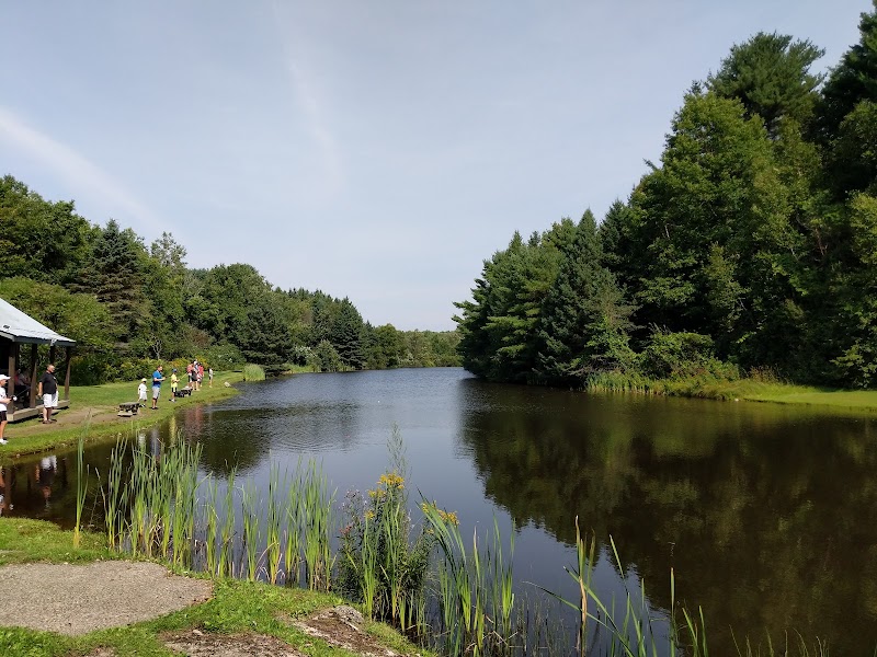 Photo of White Pines Golf