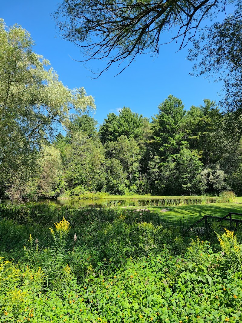 Photo of White Pines Golf