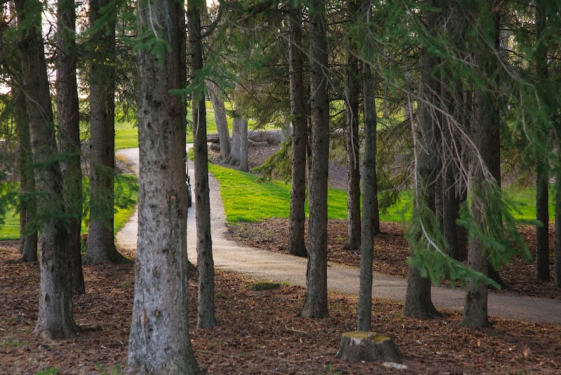 Photo of Black Bear Ridge Golf & Resort