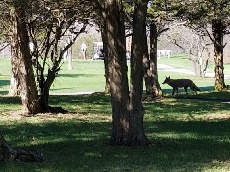 Photo of Garrison Golf Club