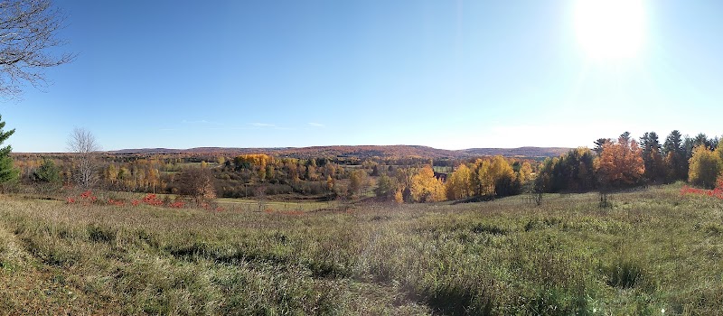 Photo of Homestead At Wolf Ridge Golf Course and Driving Range
