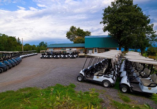 Photo of Dragonfly Golf Links At Renfrew
