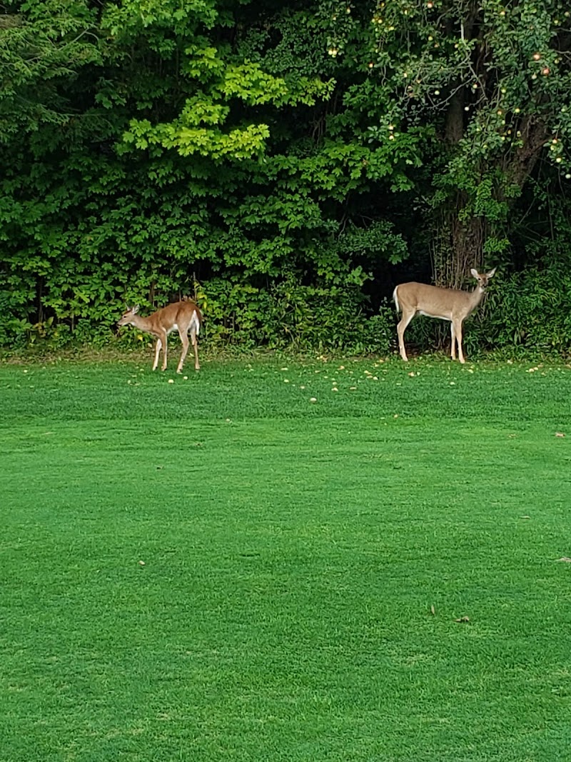 Photo of Pickering Golf Club