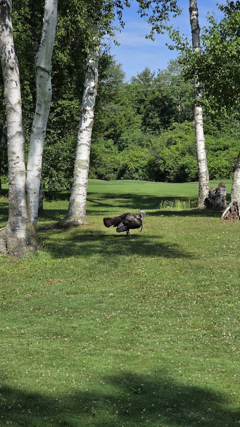Photo of Pickering Golf Club