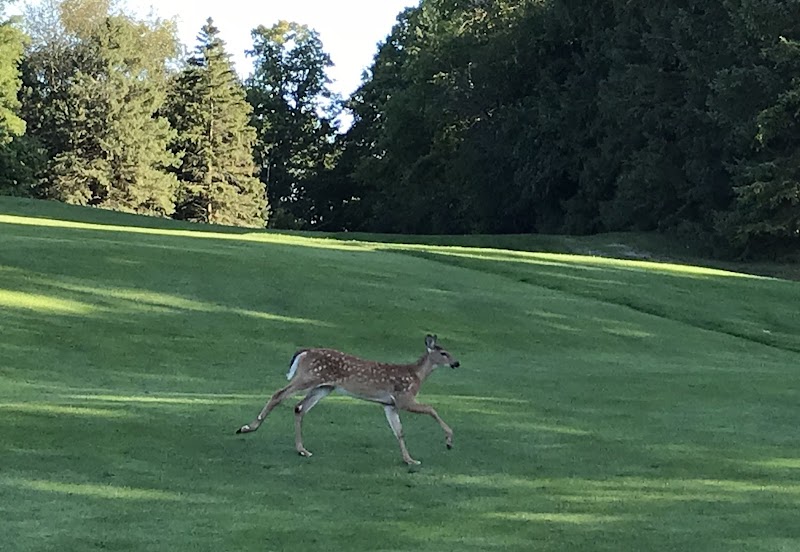 Photo of Echo Valley Golf Course