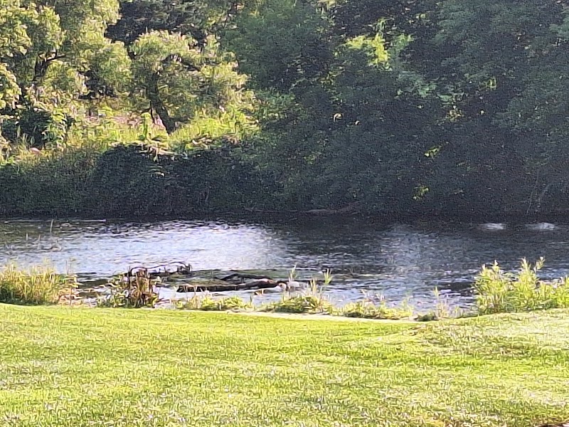 Photo of Dorchester Golf & Country Club