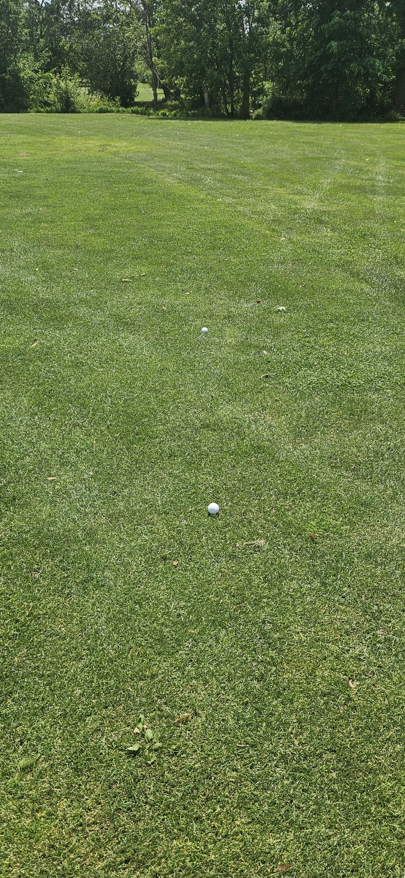 Photo of Black Creek Golf Course