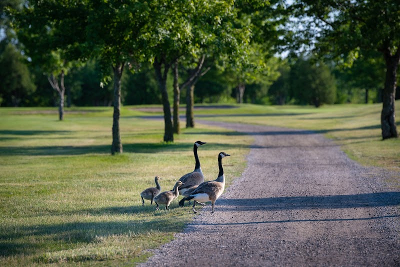 Photo of Belleview Golf Club