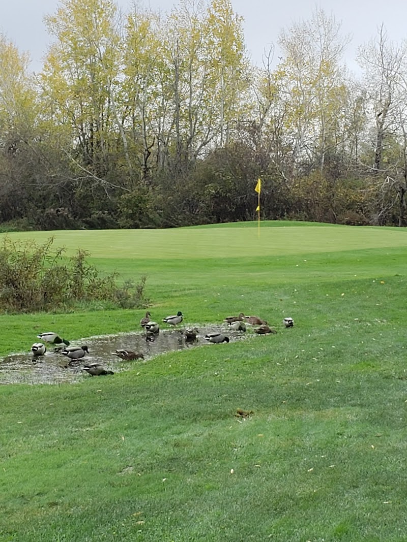 Photo of Falcon Ridge Golf Club