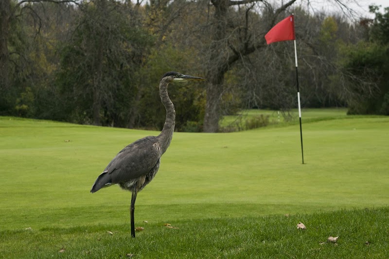 Photo of Champlain Golf Club